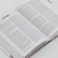 NLT Holy Bible (Pink)
