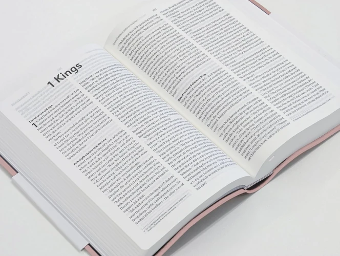 NLT Holy Bible (Pink)