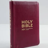 NIV Pocket Mulberry Bible with Gold Zip