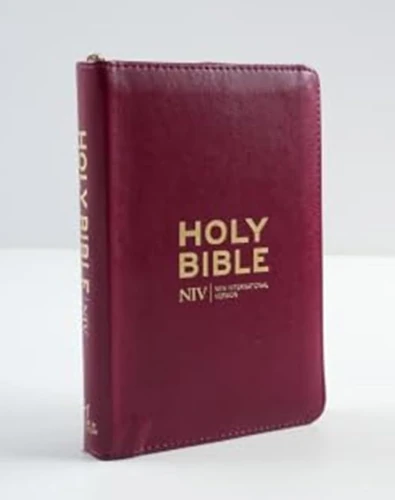 NIV Pocket Mulberry Bible with Gold Zip