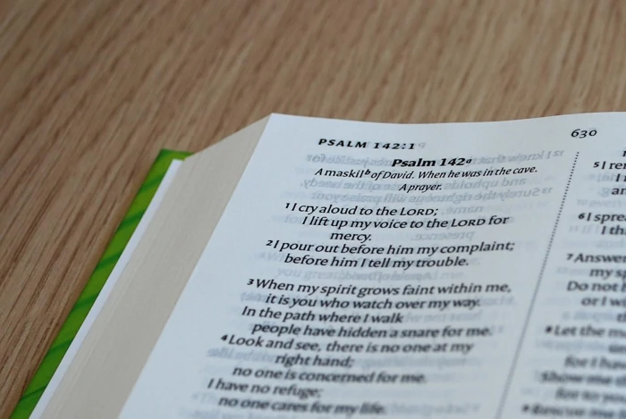 NIV Schools Hardback Bible