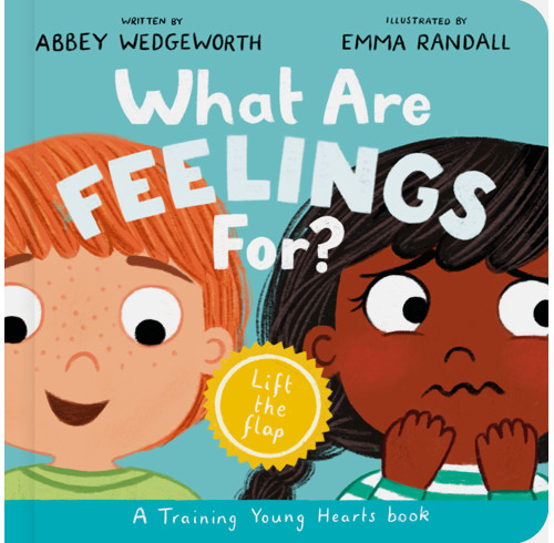 What Are Feelings For? Board Book (ebook)