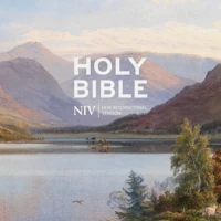 NIV Larger Print Gift Hardback Bible