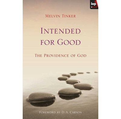 Intended for Good (ebook)