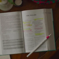 ESV Teen Study Bible