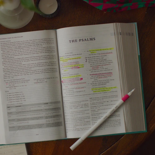ESV Teen Study Bible
