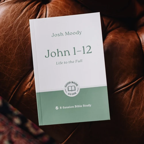 John 1–12: Life to the Full