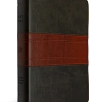 ESV Giant Print Personal Size Bible, Red Letter, Thumb Indexed