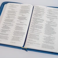 NIV Larger Print Blue Soft-tone Bible with Zip
