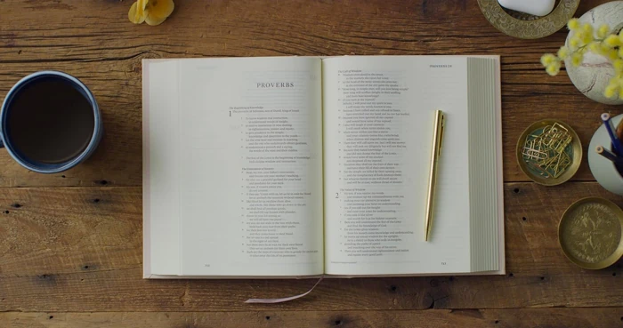ESV Single Column Journaling Bible®