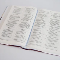 NIV Larger Print Gift Hardback Bible
