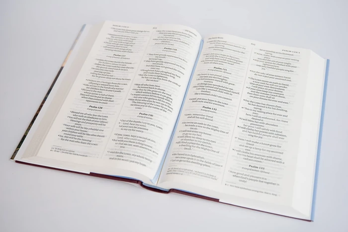 NIV Larger Print Gift Hardback Bible