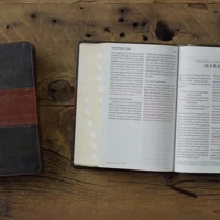ESV Giant Print Personal Size Bible, Red Letter, Thumb Indexed