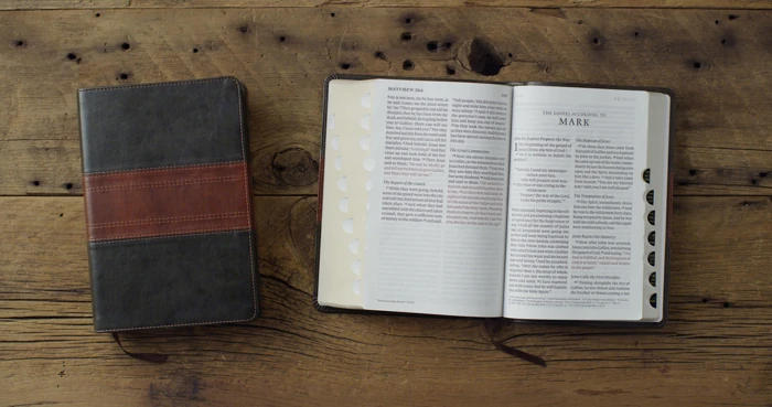 ESV Giant Print Personal Size Bible, Red Letter, Thumb Indexed