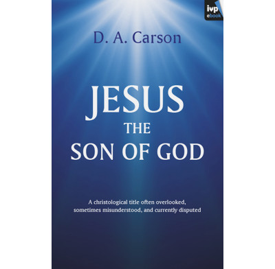 Jesus the Son of God (ebook)