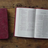 ESV Large Print Value Thinline Bible