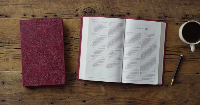 ESV Large Print Value Thinline Bible
