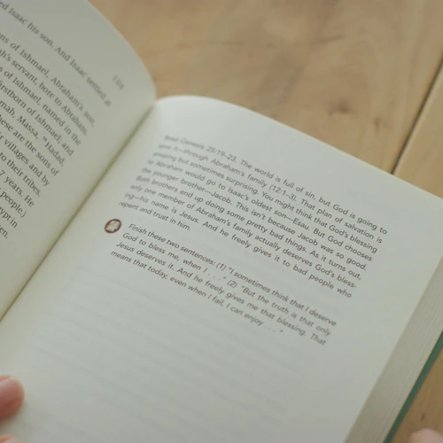 The Biggest Story Scripture Journal for Kids: Genesis (ESV)