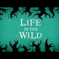 Life in the Wild (ebook)