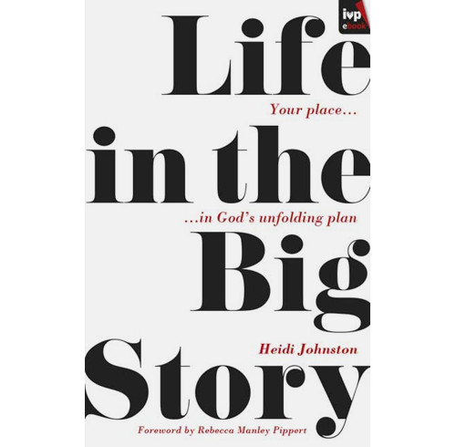 Life in the Big Story (ebook)