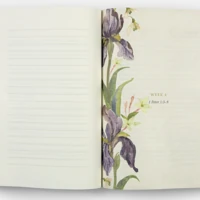 ESV Prayer Journal: 30 Days on Hope