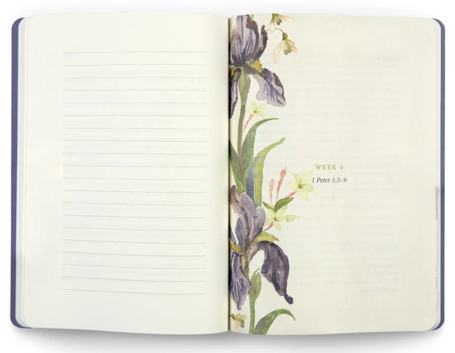 ESV Prayer Journal: 30 Days on Hope