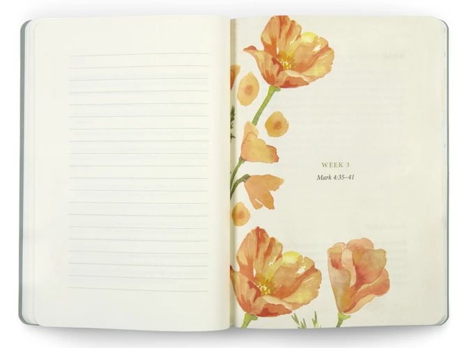 ESV Prayer Journal: 30 Days on Peace