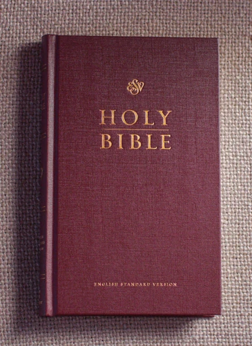 ESV Church Bible, Burgundy