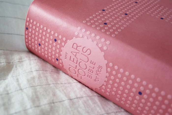 NIrV, Clear Focus Bible for Kids (Leathersoft, Pink)
