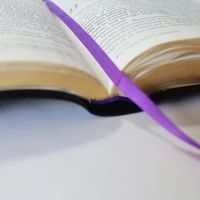 NIV Larger Print Black Leather Bible