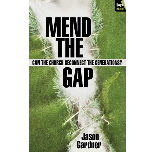 Mend the Gap (ebook)