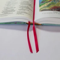 NIV Journalling Bible Illustrated by Hannah Dunnett (New Edition)