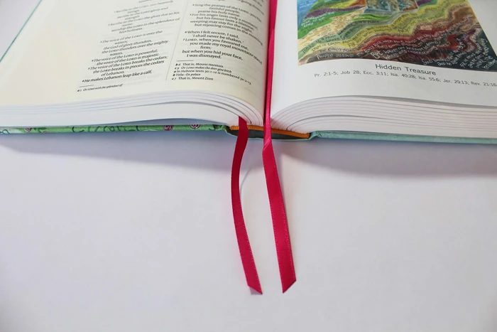 NIV Journalling Bible Illustrated by Hannah Dunnett (New Edition)