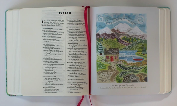 NIV Journalling Bible Illustrated by Hannah Dunnett (New Edition)