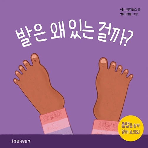 What Are Feet For? Board Book (Korean)