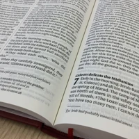 NIV Larger Print Burgundy Hardback Bible