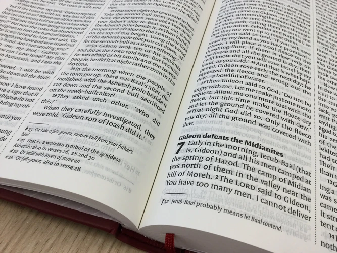 NIV Larger Print Burgundy Hardback Bible
