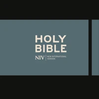 NIV Journalling Bible - Black