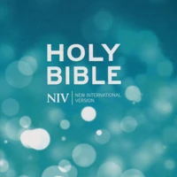 NIV Popular Hardback Bible (Pack of 20)