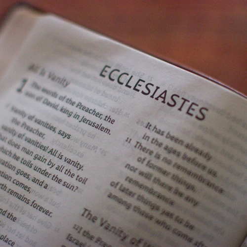 ESV Holy Bible: Dyslexia-Friendly Edition, TruTone Brown