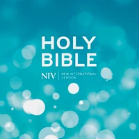 Aqua Hardback Bible (NIV)