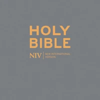 Slate Zip-up Bible (NIV)