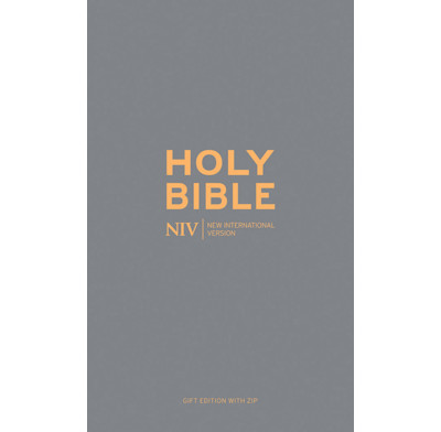 Slate Zip-up Bible (NIV)