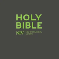 NIV Popular Soft-Tone Bible with Zip