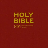 NIV Larger Print Burgundy Hardback Bible