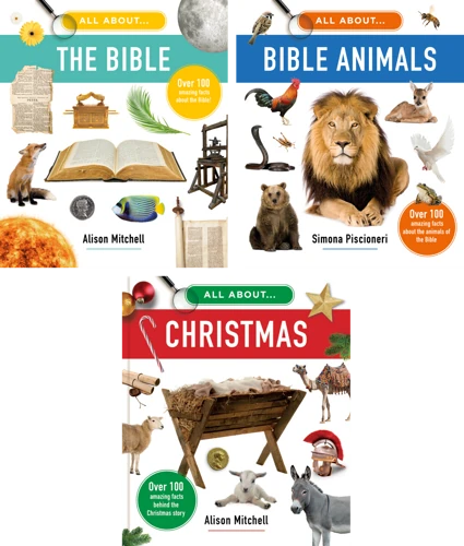 All About Series Set