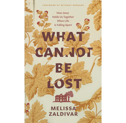 What Cannot Be Lost (audiobook)