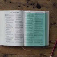 ESV Holy Bible: Dyslexia-Friendly Edition