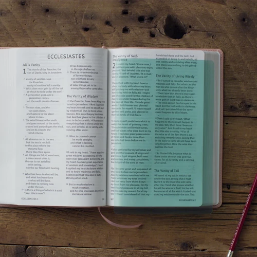 ESV Holy Bible: Dyslexia-Friendly Edition