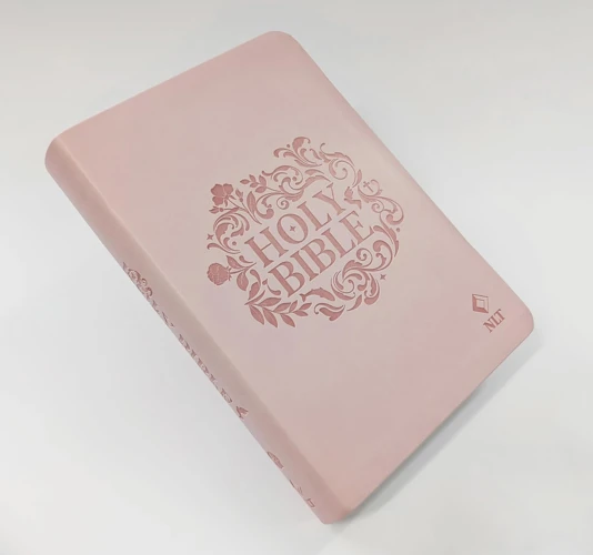 NLT Holy Bible (Pink)